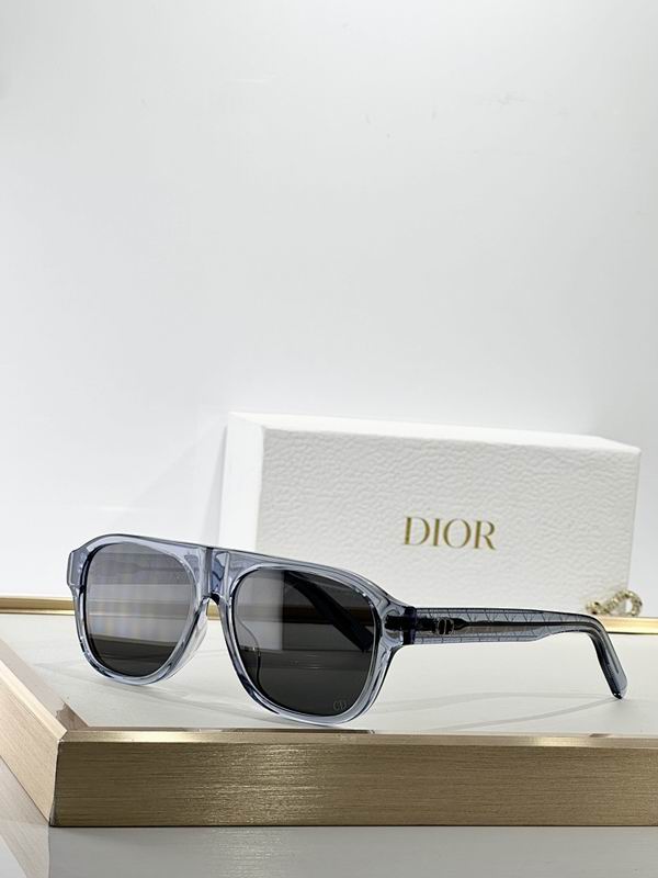 Dior Glasses smr (141)