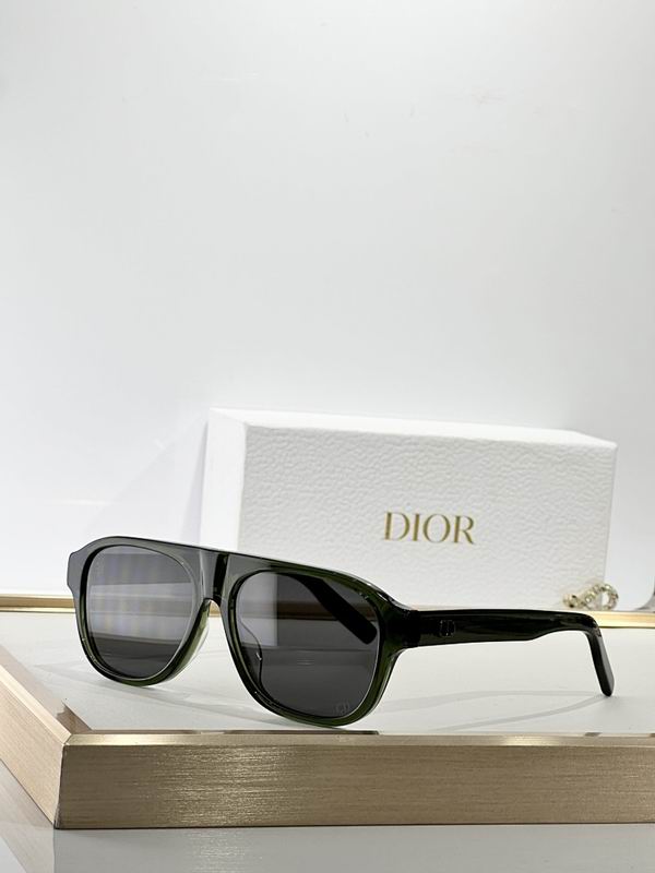Dior Glasses smr (142)