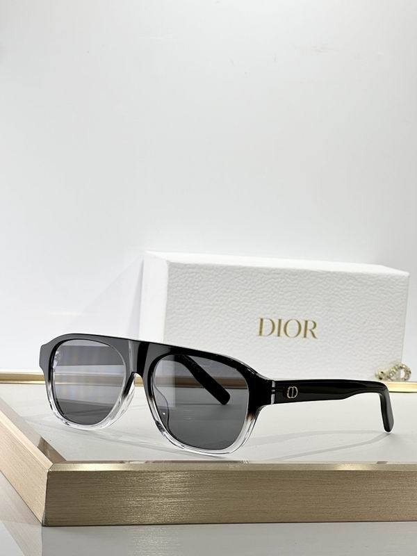 Dior Glasses smr (144)