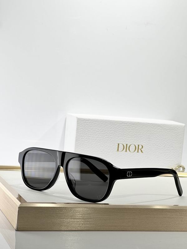 Dior Glasses smr (145)