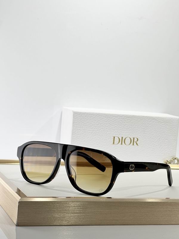Dior Glasses smr (146)
