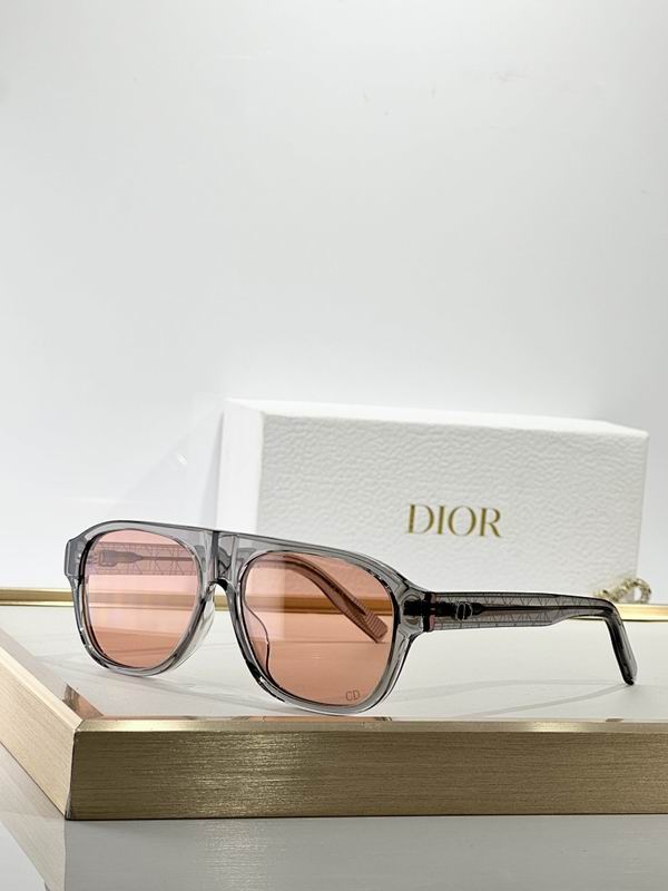 Dior Glasses smr (147)