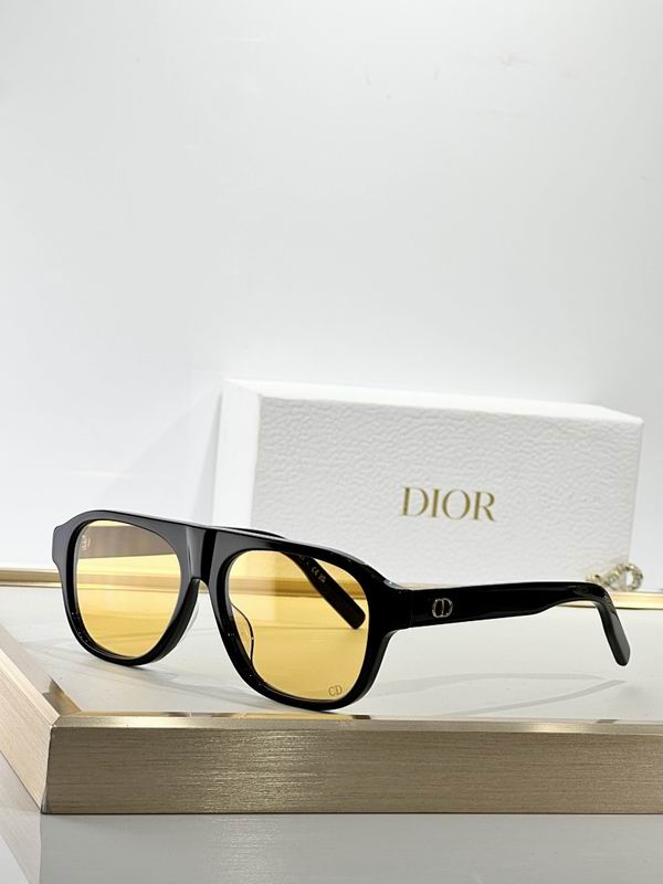 Dior Glasses smr (148)