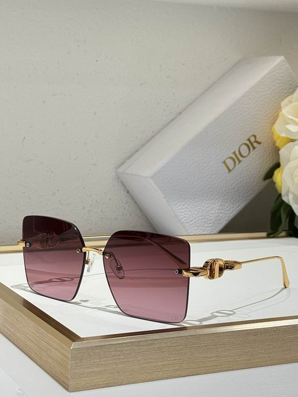 Dior Glasses smr (18)