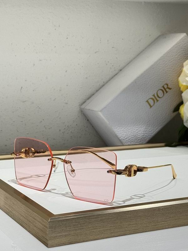 Dior Glasses smr (19)