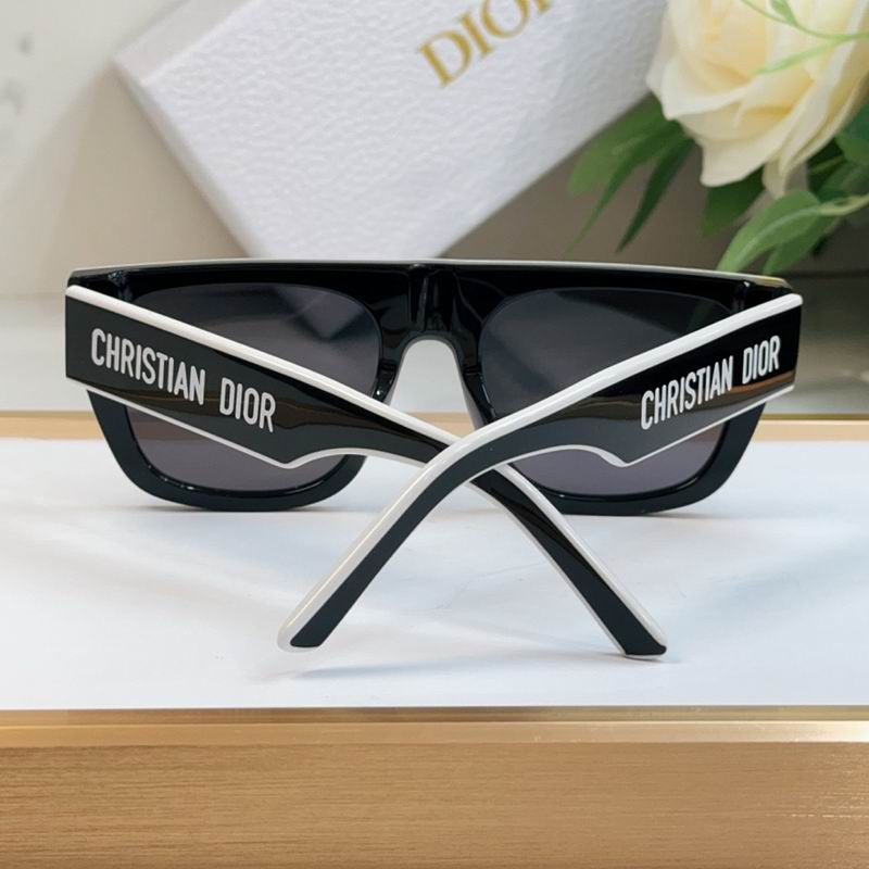 Dior Glasses smr (2)