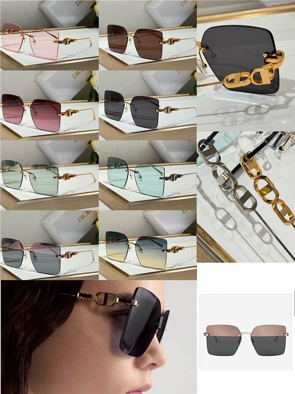 Dior Glasses smr (20)