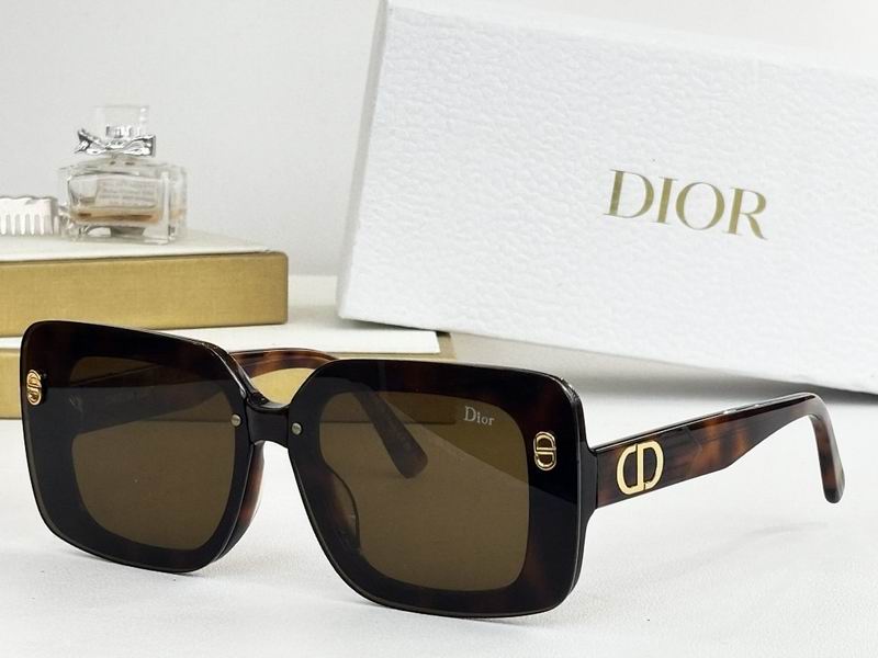 Dior Glasses smr (208)