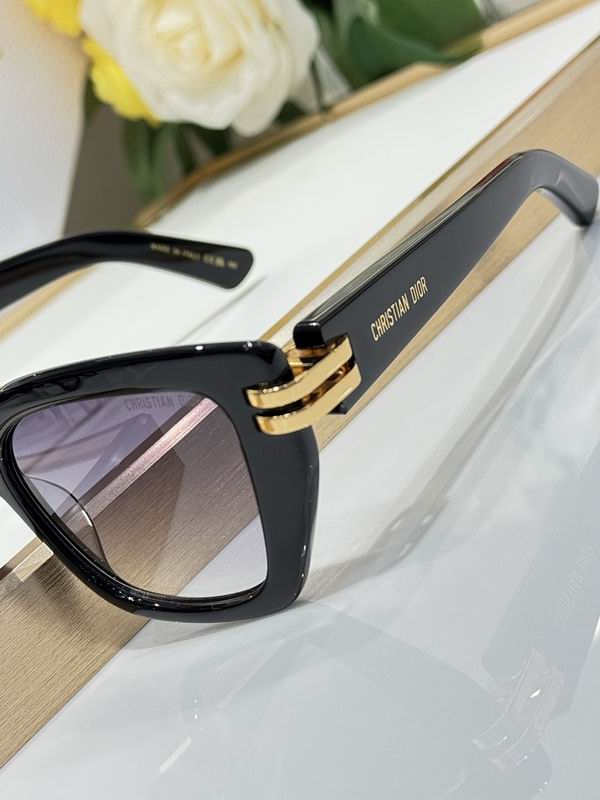 Dior Glasses smr (210)