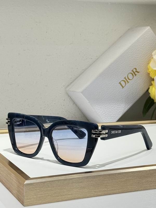 Dior Glasses smr (218)