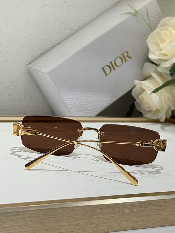 Dior Glasses smr (220)
