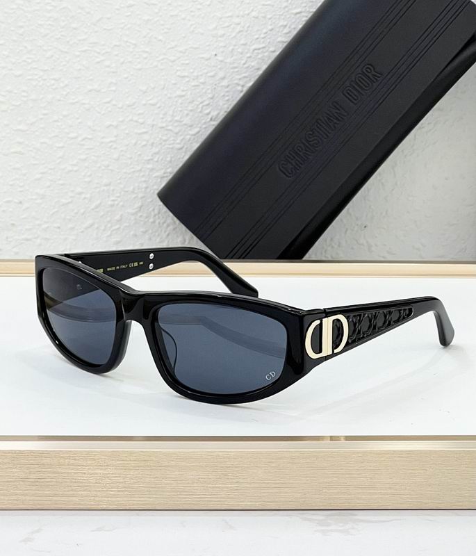 Dior Glasses smr (23)