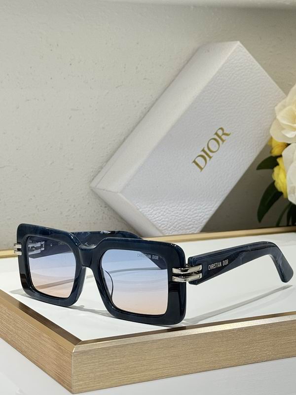 Dior Glasses smr (232)