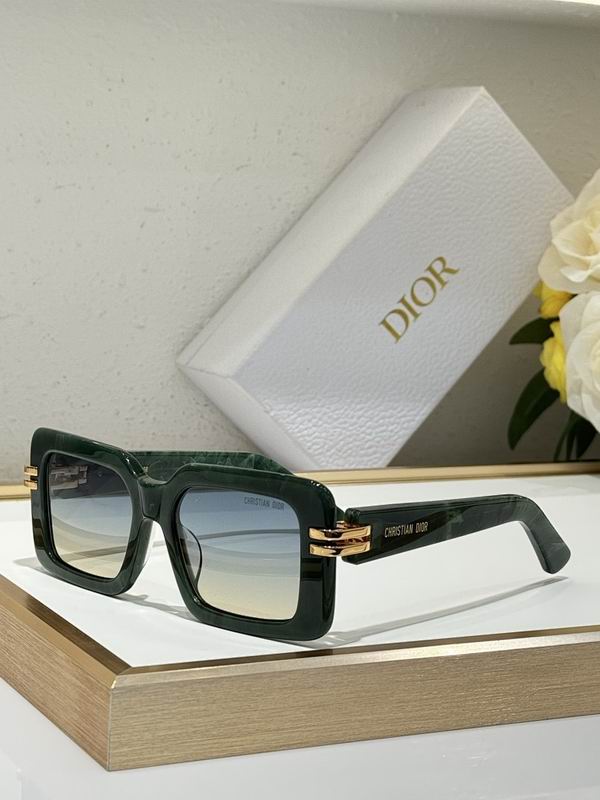 Dior Glasses smr (233)