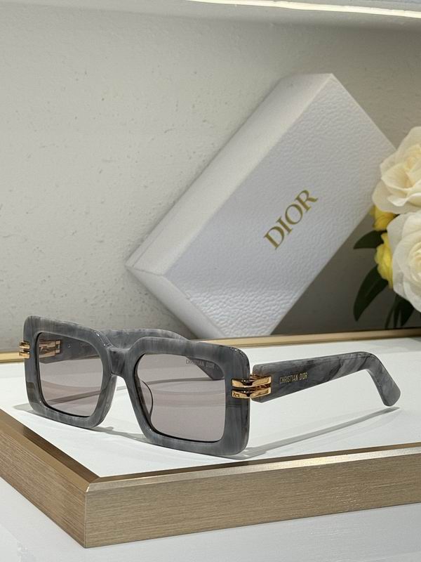 Dior Glasses smr (235)