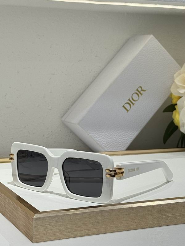 Dior Glasses smr (236)