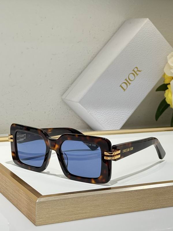 Dior Glasses smr (237)