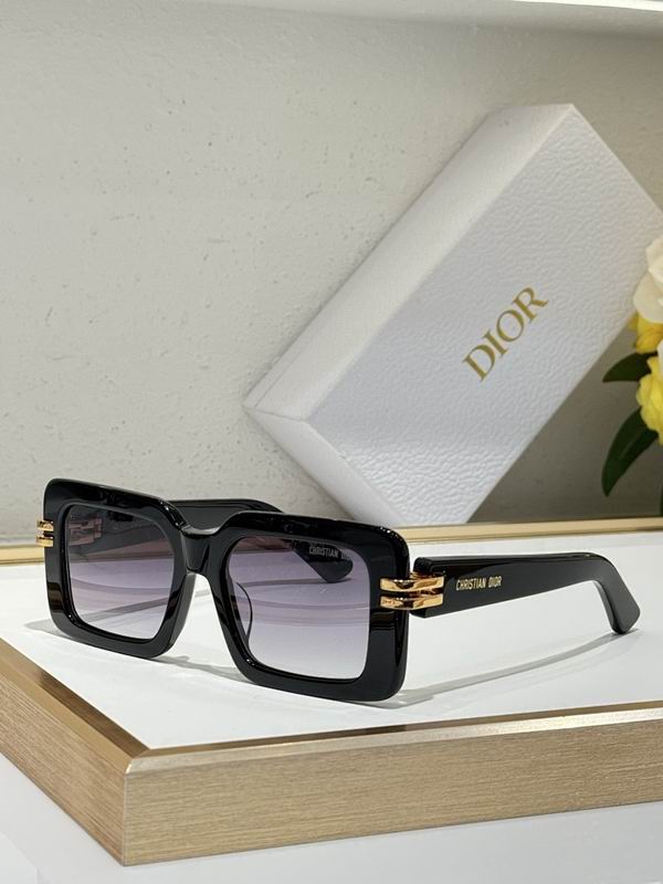 Dior Glasses smr (238)