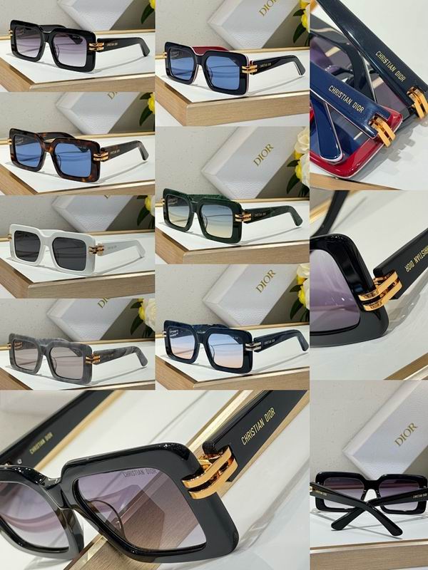 Dior Glasses smr (239)