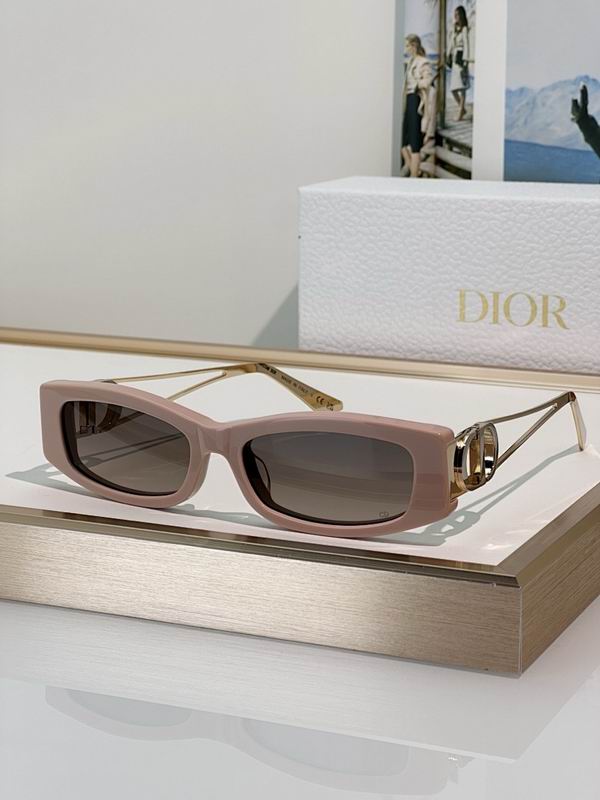 Dior Glasses smr (271)