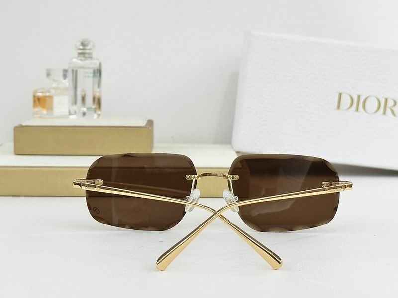 Dior Glasses smr (277)