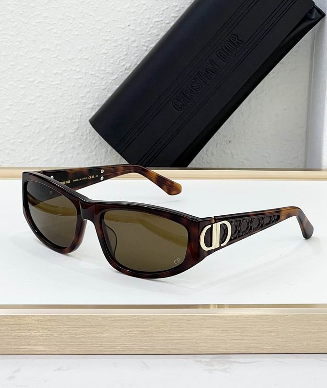 Dior Glasses smr (28)