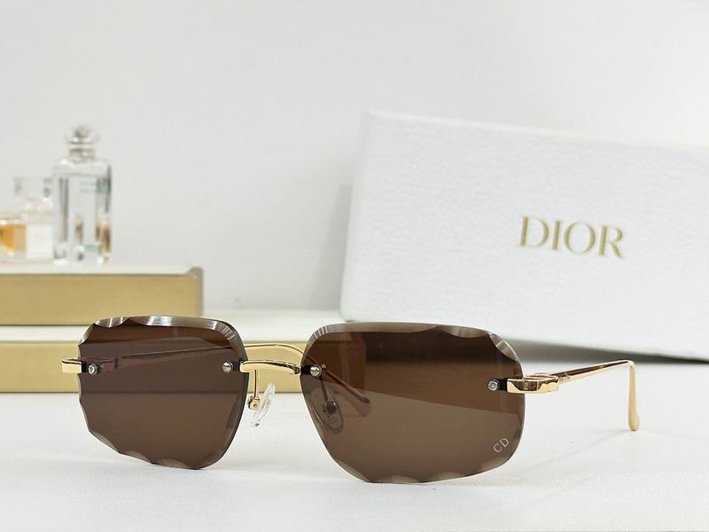 Dior Glasses smr (280)