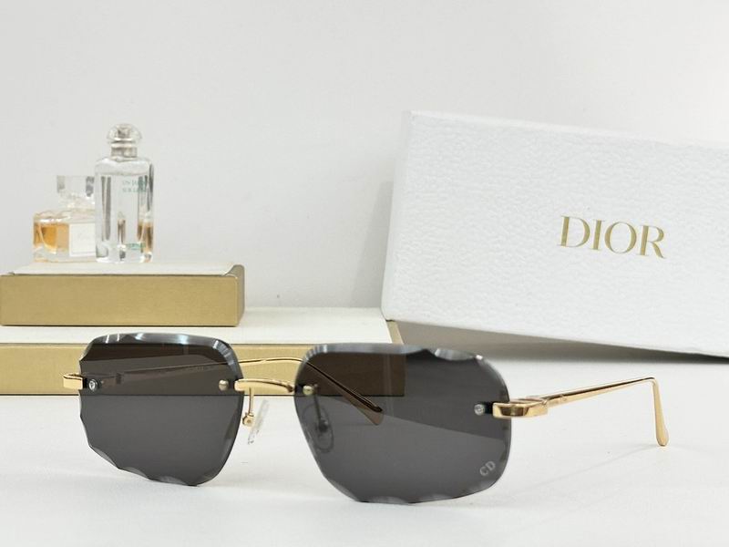 Dior Glasses smr (285)