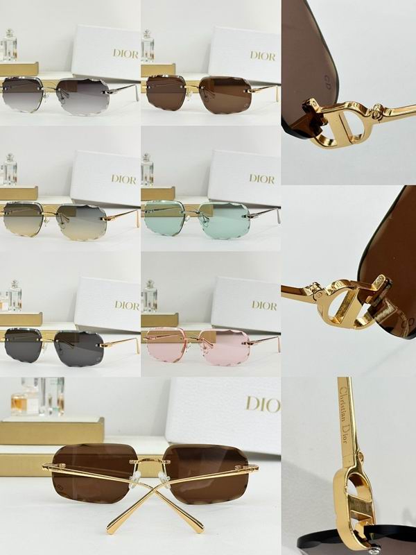 Dior Glasses smr (286)