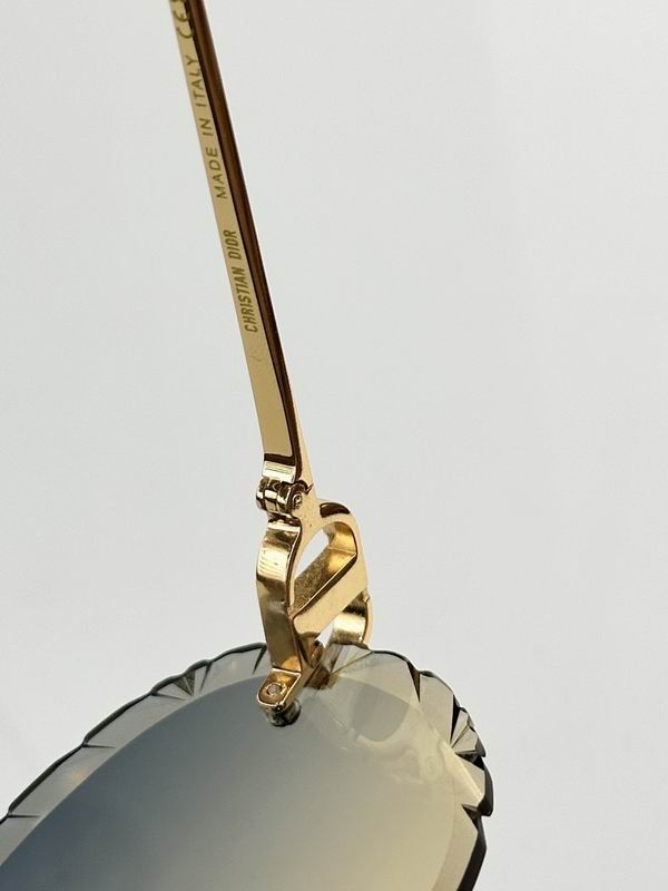 Dior Glasses smr (287)