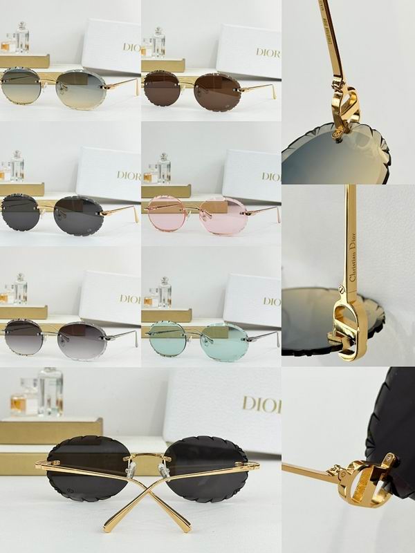 Dior Glasses smr (296)
