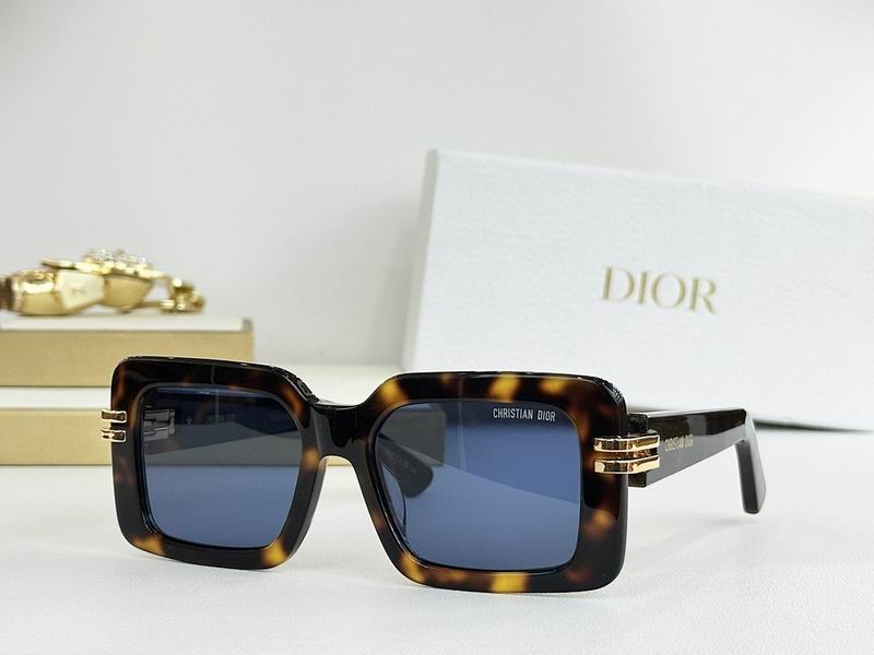 Dior Glasses smr (309)