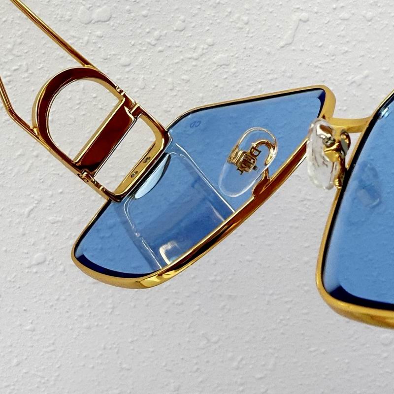 Dior Glasses smr (31)