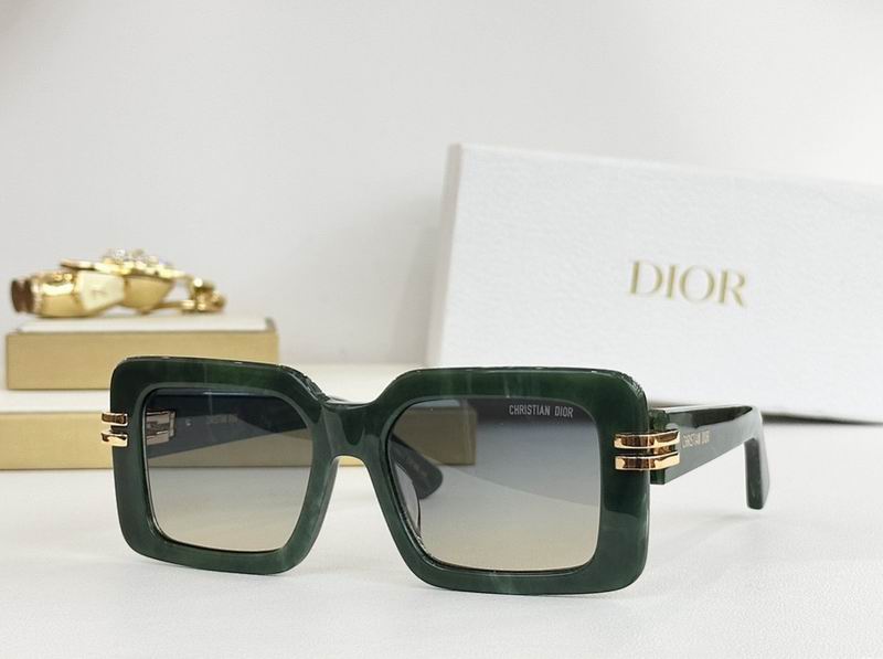 Dior Glasses smr (311)