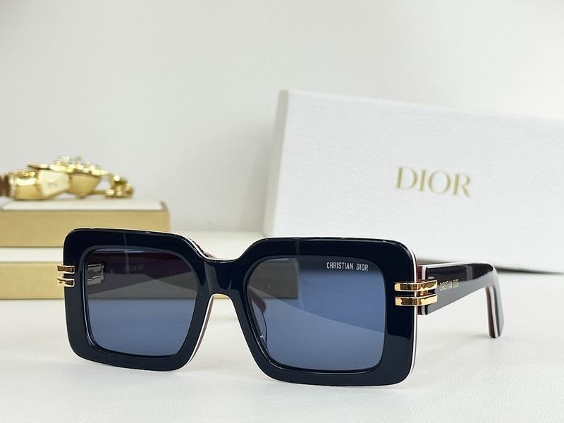 Dior Glasses smr (312)
