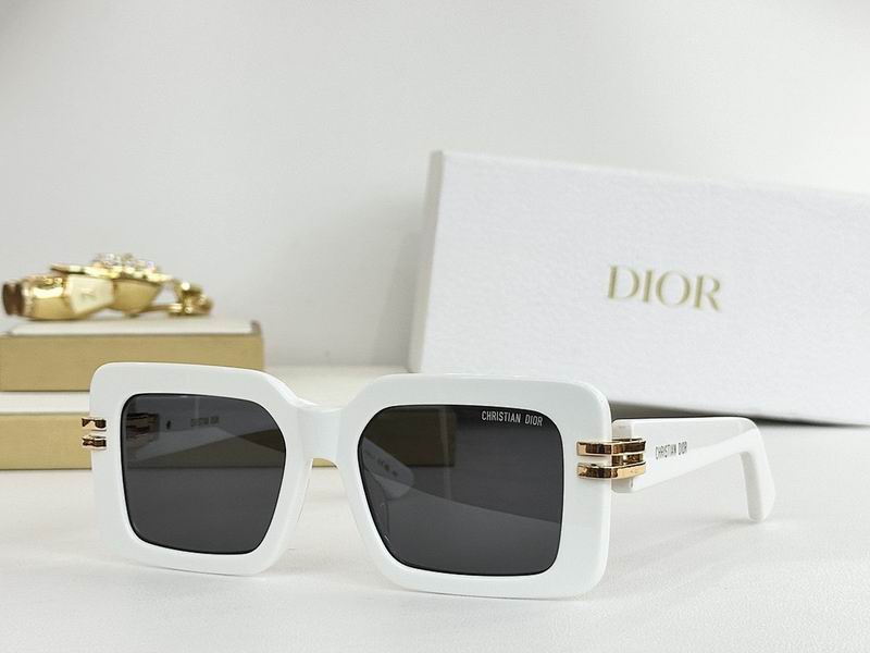 Dior Glasses smr (314)