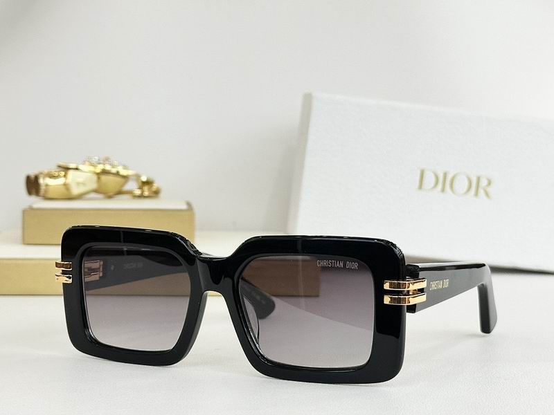 Dior Glasses smr (315)