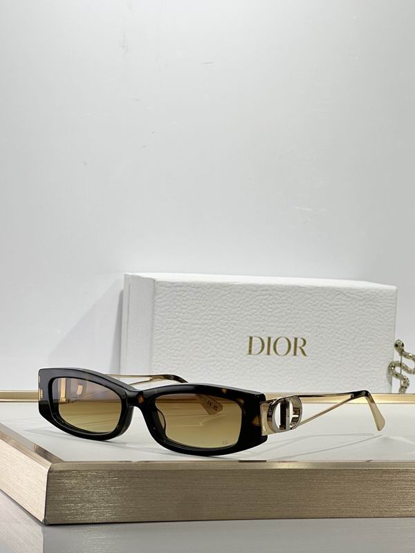 Dior Glasses smr (322)