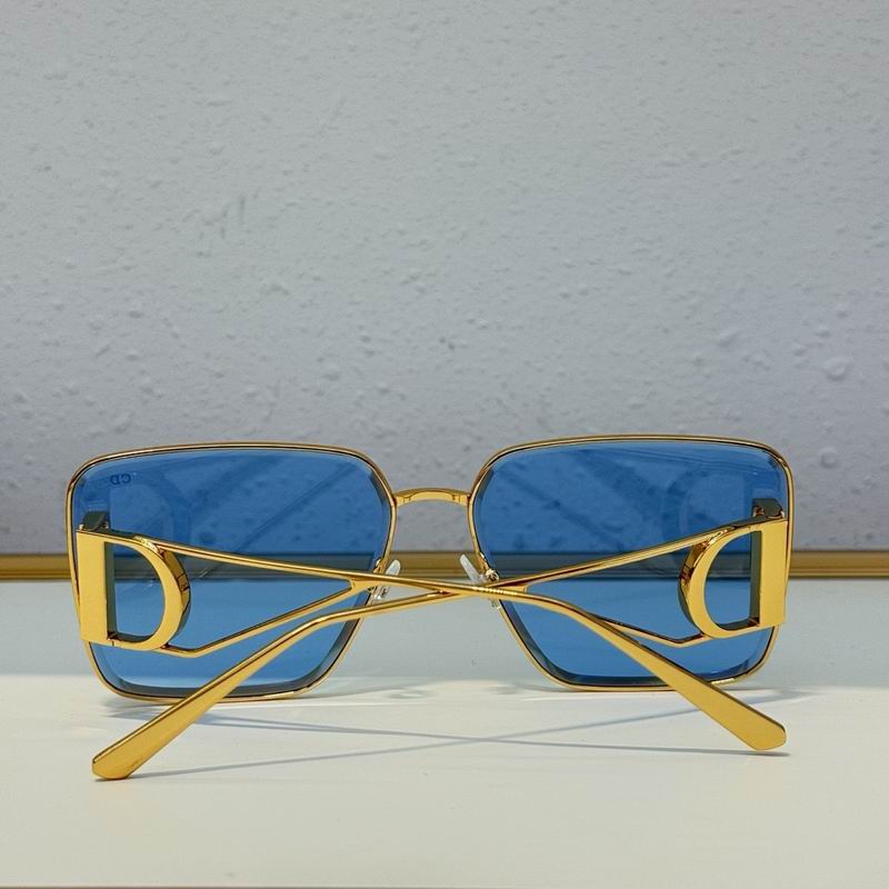 Dior Glasses smr (33)