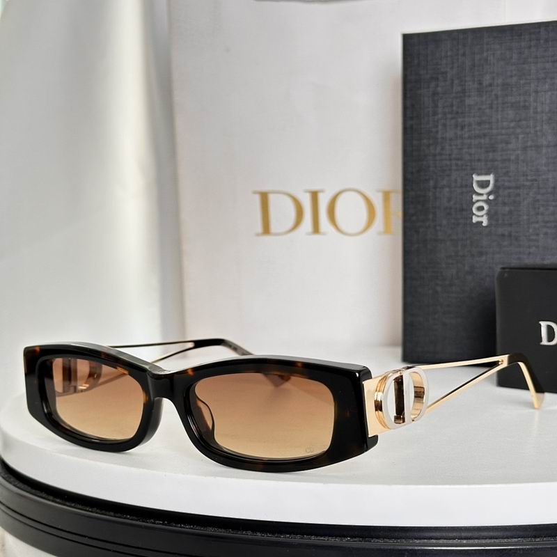 Dior Glasses smr (334)