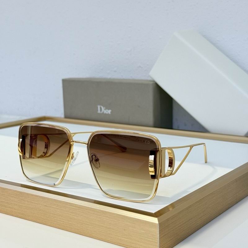 Dior Glasses smr (35)