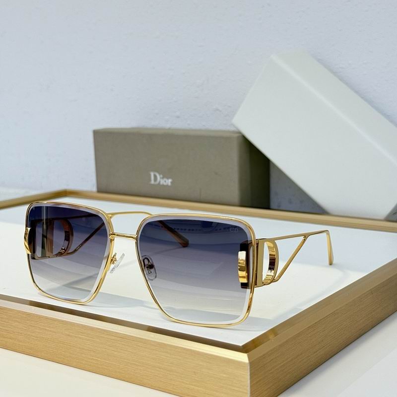 Dior Glasses smr (37)