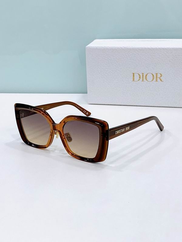 Dior Glasses smr (371)