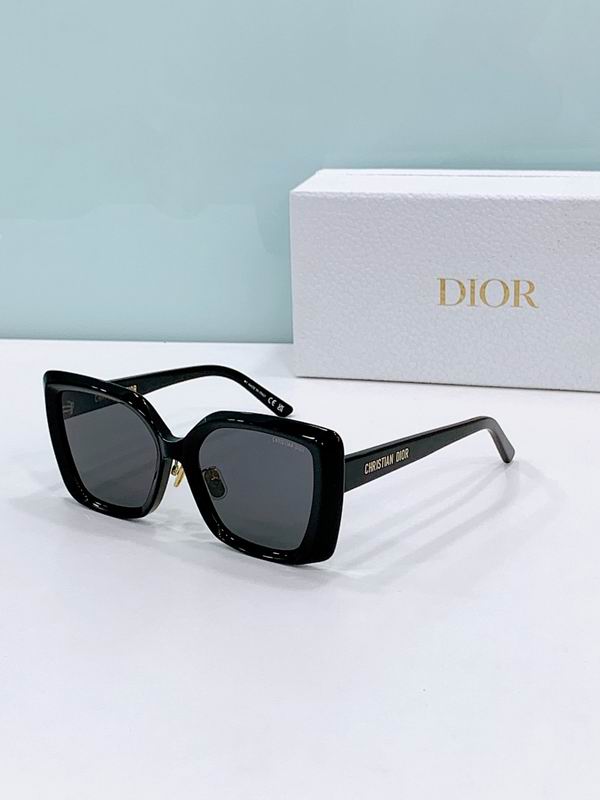 Dior Glasses smr (374)