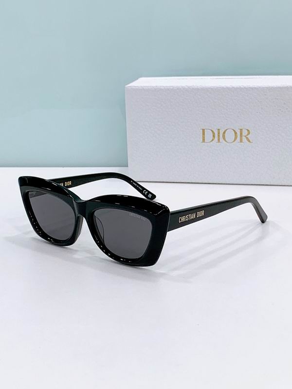 Dior Glasses smr (379)