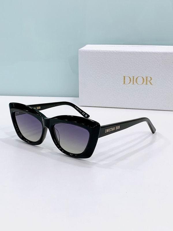 Dior Glasses smr (381)