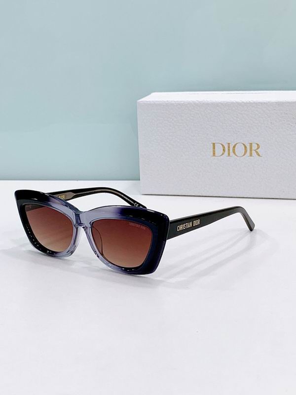 Dior Glasses smr (382)