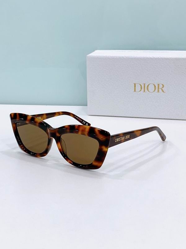 Dior Glasses smr (383)