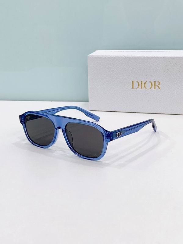 Dior Glasses smr (388)