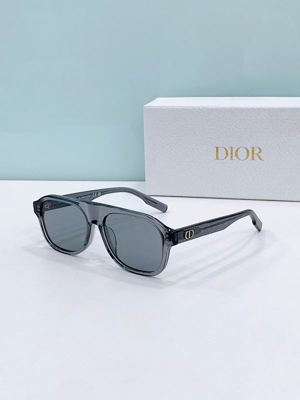 Dior Glasses smr (389)